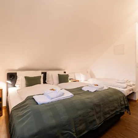 Lejlighedshotel Dreamcation Altstadthotel - Mikro Mit Kueche & Self Check-in Regensburg